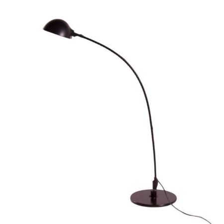 Martinelli Floor Lamp Flex