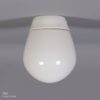 Ceiling lamp Model 6001 LJS by Wilhelm Wagenfeld for Lindner, 1950s