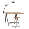 RESERVED – Globe Floor Lamp by Frank Ligtelijn for RAAK, 1960’s | with Smoked Glass