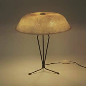 Fiberglas Table Lamp by Louis Kalff for Philips, 1958.