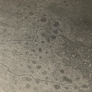 Coffee Table with Etched Metal Top by Heinz Lilienthal, 1970s