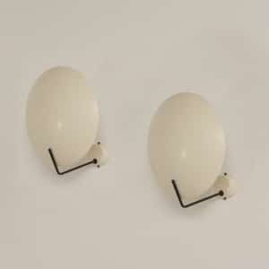 Set of Wall or Ceiling Lamps by Bruno Gatta for Stilnovo, 1960s