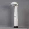 Alba Floor Lamp by Sergio Brazzoli &#038; Ermanno Lampa for Harvey Guzzini, 1970s