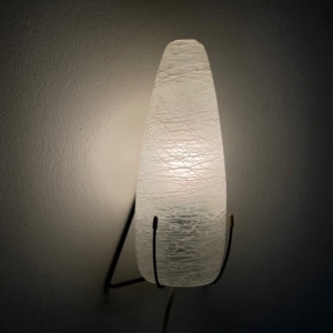 Wall lamp NX18 E/00 in Satin Glas for Philips, 1958