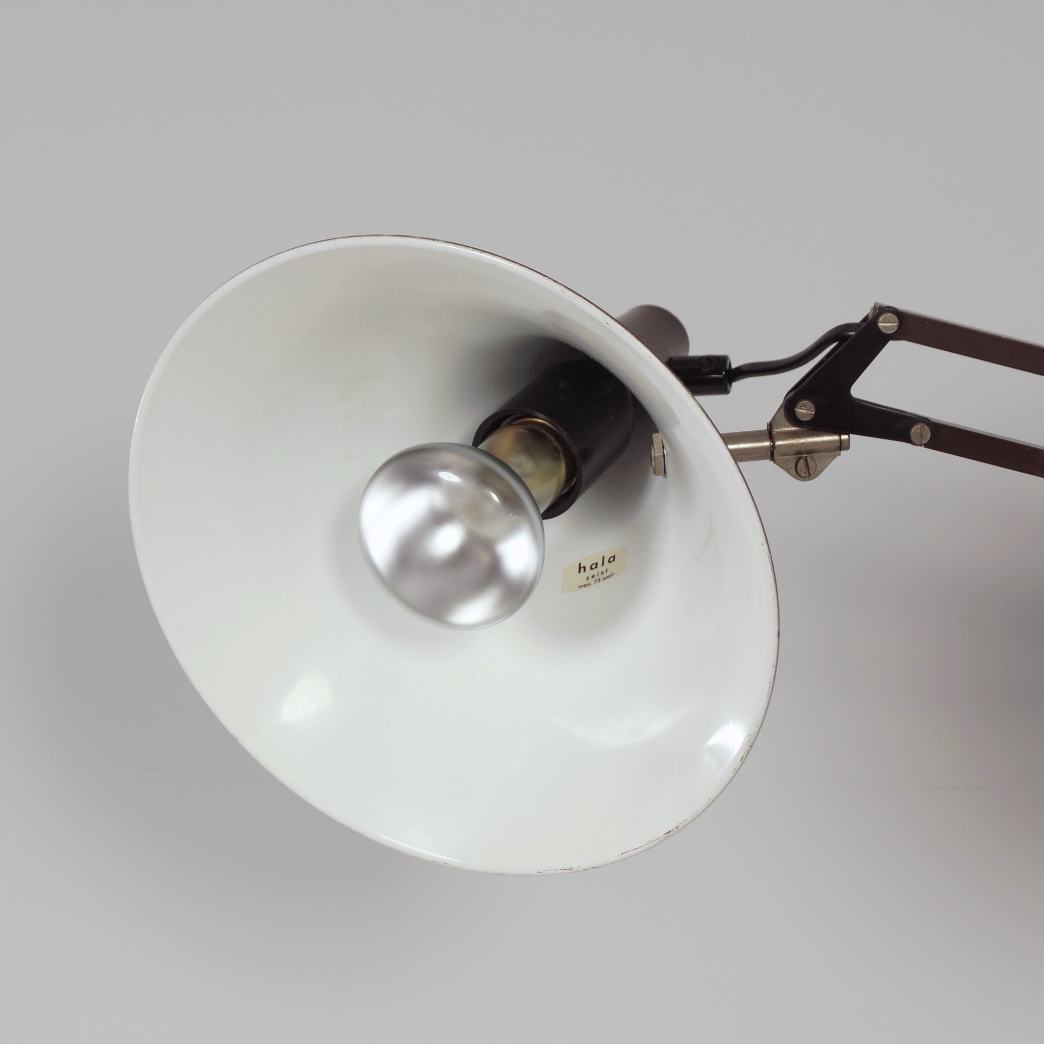 Brown Desk Lamp by Hala from the 1970s with Adjustable Arm and Tulip-Shaped Shade